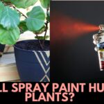 Will Spray Paint Hurt Plants? The Solution to Spray Painting Plants