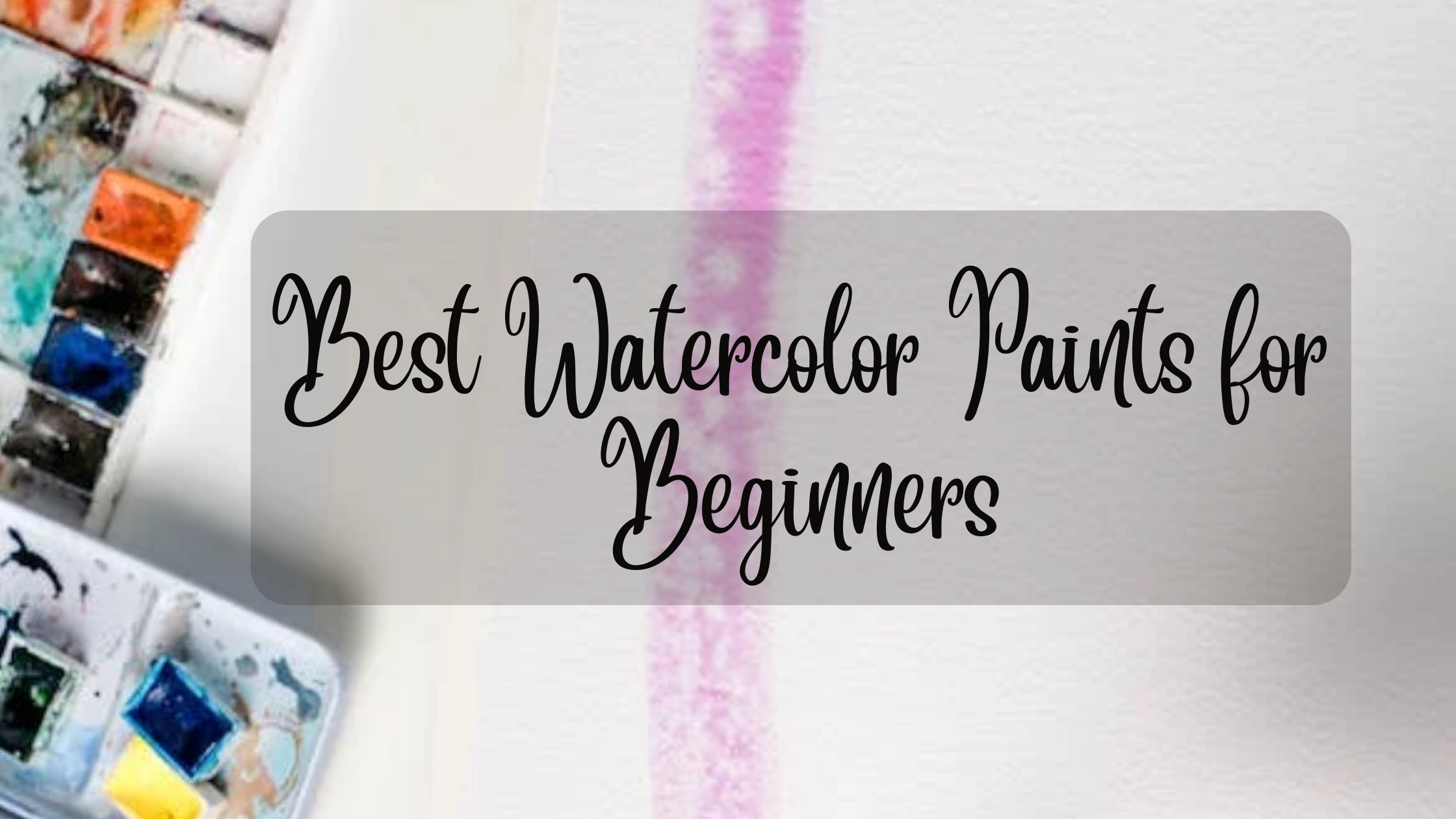 Best Watercolor Paints for Beginners
