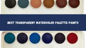 Best Transparent Watercolor Palette/Paints